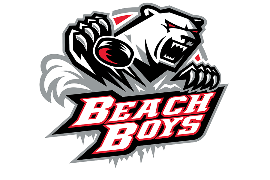 Das neue Logo der Beach Boys.