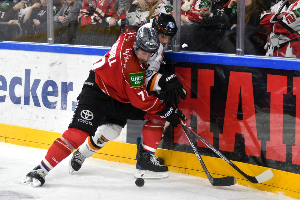 K�lns Travis Turnbull attackiert einen Wolfsburger an der Bande.