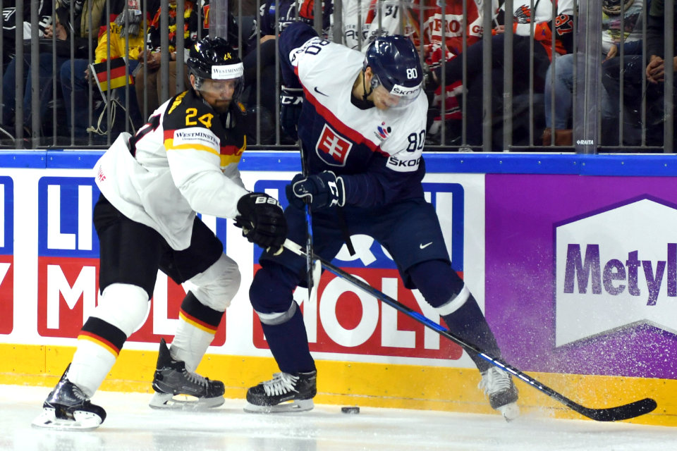 Deutschlands Dennis Seidenberg gegen den Slowaken Tomas Hrnka.