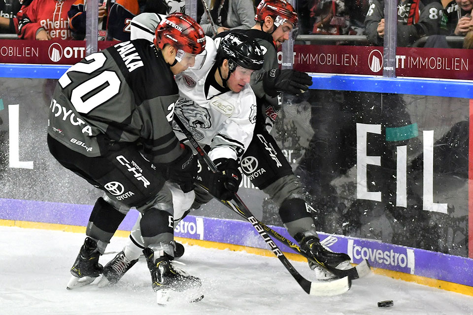Spielszene Köln gegen Mannheim. Spielszene Köln gegen Mannheim.