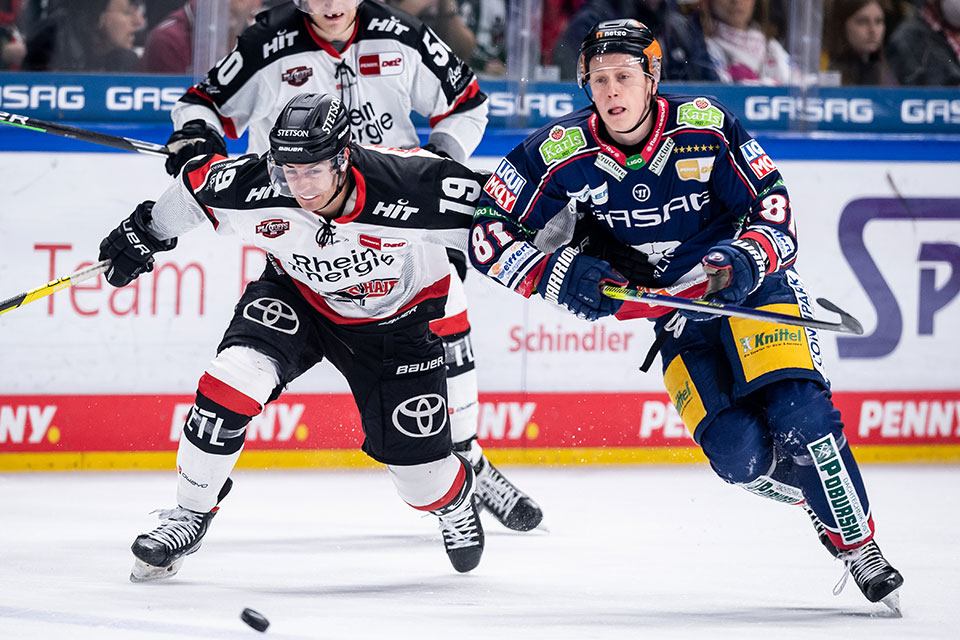 Maximilian Kammerer von den Kölner Haien und Sebastian Streu von den Eisbären Berlin. Maximilian Kammerer von den Kölner Haien und Sebastian Streu von den Eisbären Berlin.