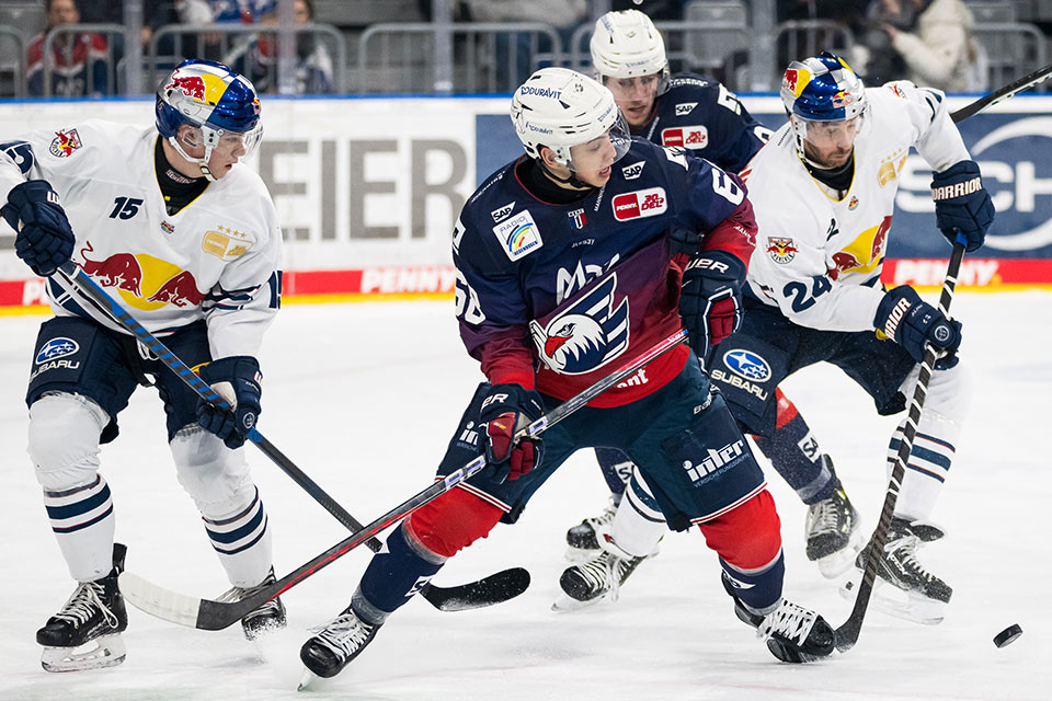 (L-R) Nikolaus Heigl von Red Bull M�nchen, Fabrizio Pilu von den Adler Mannheim und Jonathon Blum von Red Bull M�nchen.