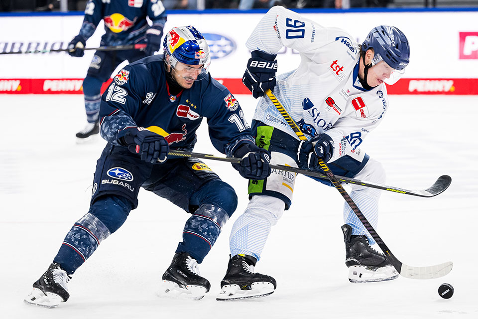 Brady Ferguson von Red Bull Mnchen und Filip Varejcka von den Straubing Tigers.