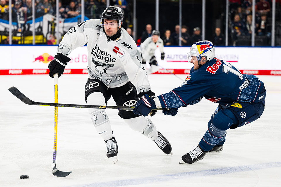 Maximilian Kammerer von den Klner Haien und Brady Ferguson von Red Bull Mnchen im Zweikampf.
