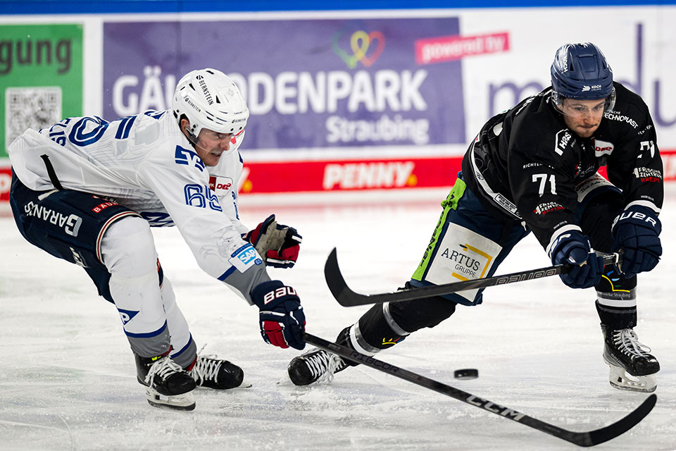 Marc Michaelis von den Adler Mannheim und Nick Halloran von den Straubing Tigers im Zweikampf.