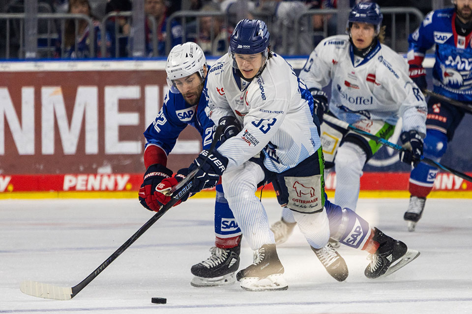 Spielszene Mannheim gegen Straubing.