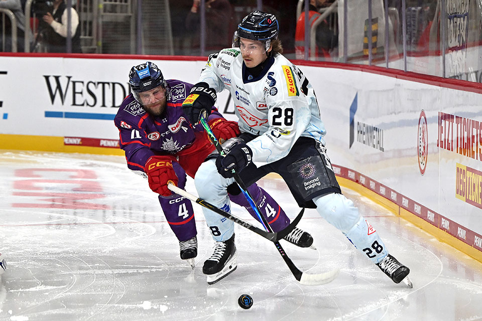 Dresdens Alec Ahlroth vor D�sseldorfs Andrew Bodnarchuk.